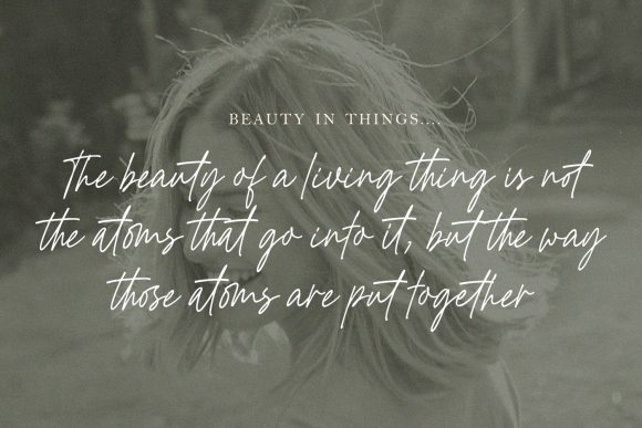Golden Hopes: A Script Font for Elegant Branding